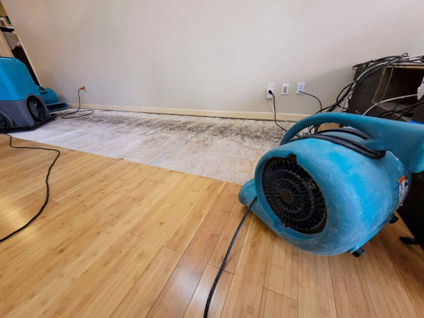 Professional Water Removal technician working in Lowell, NC